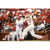 Ryan Jackson St. Louis Cardinals Signed 12x18 Glossy Photo JSA Authenticated