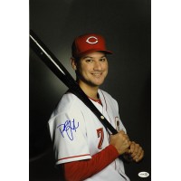 Paul Janish Cincinnati Reds Signed 12x18 Glossy Photo JSA Authenticated