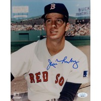 Jim Lonborg Boston Red Sox Signed 8x10 Matte Photo JSA Authenticated