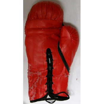 Nonito Donaire Jr. & Fernando Montiel Signed Boxing Glove PSA Authenticated DMG