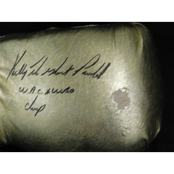 Kelly The Ghost Pavlik Boxer Signed Reyes Gold Boxing Glove PSA Authenticated