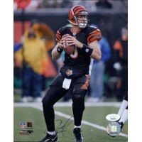 Carson Palmer Cincinnati Bengals Signed 8x10 Glossy Photo JSA Authenticated