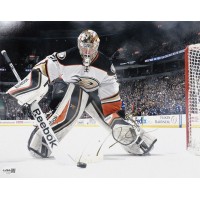 Frederik Anderson Anaheim Ducks Signed 11x14 Matte Photo JSA Authenticated