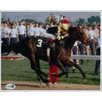 Jean Cruguet Jockey Signed 8x10 Matte Photo JSA Authenticated Jean Cruguet Jockey Signed 8x10 Matte Photo JSA Authenticated