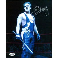 Sting Steve Borden WWF WWE WCW Wrestler Signed 8x10 Glossy Photo JSA Authentic Sting Steve Borden WWF WWE WCW Wrestler Signed 8x10 Glossy Photo JSA Authentic