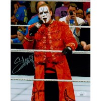 Sting Steve Borden WWF WWE WCW Wrestler Signed 8x10 Glossy Photo JSA Authentic